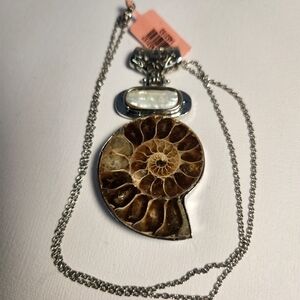 NWT Semi VTG Large Ammonite Fossil Biwa Pearl Spiral Shell Pendant Necklace 20"